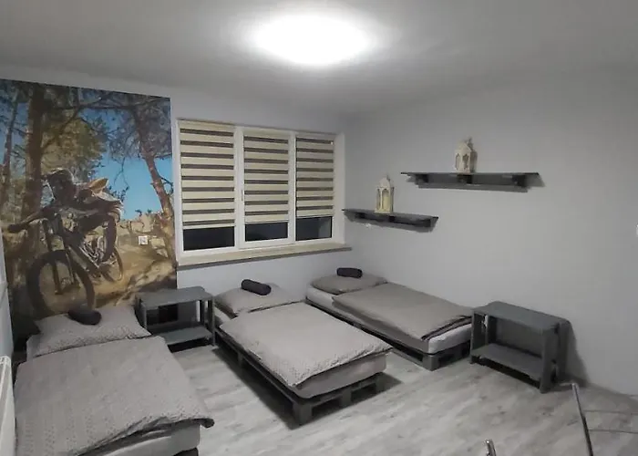 Dom W Cyganskim Lesie